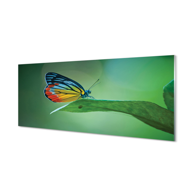 Cuadro de cristal acrílico Hoja colorida mariposa
