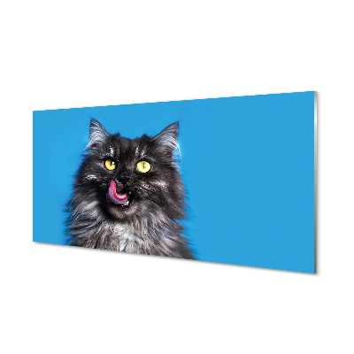Cuadro de cristal acrílico Oblizujący un gato