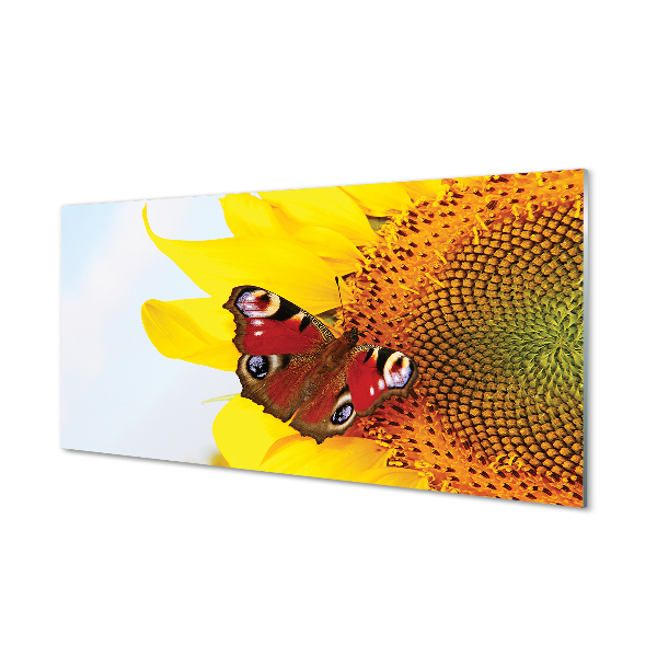 Cuadro de cristal acrílico Mariposa girasol