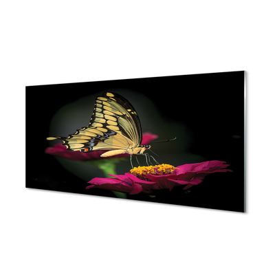 Cuadro de cristal acrílico Mariposa en una flor