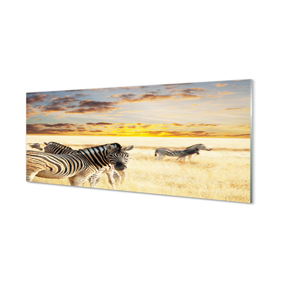 Cuadro de cristal acrílico Cebras campo de la puesta del sol