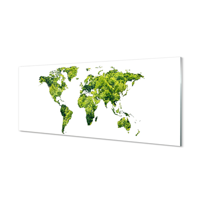 Cuadro de cristal acrílico Mapa de la hierba verde