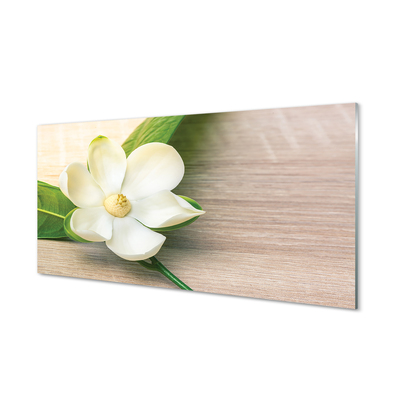 Cuadro de cristal acrílico Magnolia blanca
