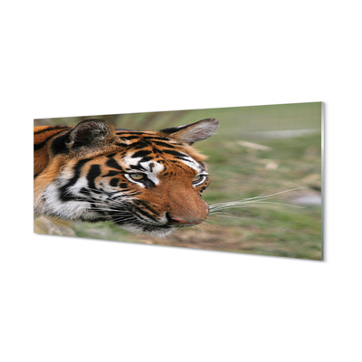 Cuadro de cristal acrílico Tiger woods