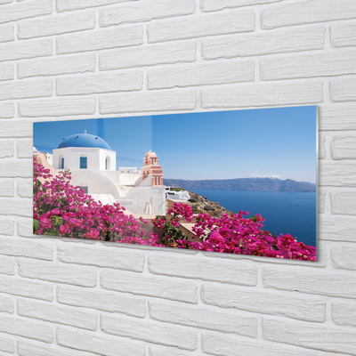 Cuadro de cristal acrílico Grecia flores edificios mar