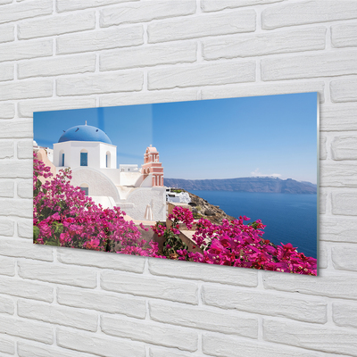 Cuadro de cristal acrílico Grecia flores edificios mar