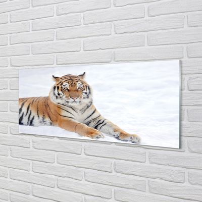 Cuadro de cristal acrílico Invierno tigre