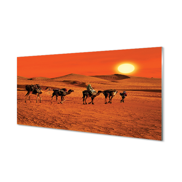 Cuadro de cristal acrílico Camellos sol gente del desierto