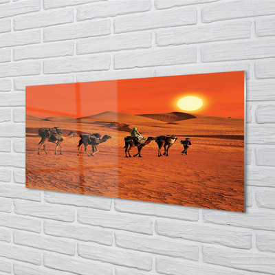 Cuadro de cristal acrílico Camellos sol gente del desierto