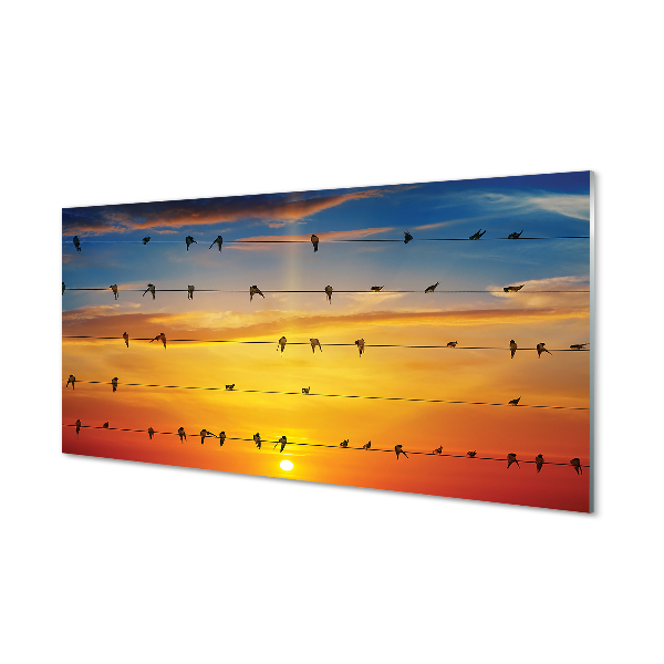 Cuadro de cristal acrílico Pájaros en la puesta del sol cuerdas
