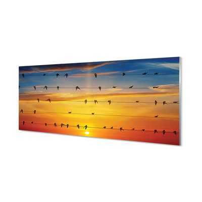 Cuadro de cristal acrílico Pájaros en la puesta del sol cuerdas