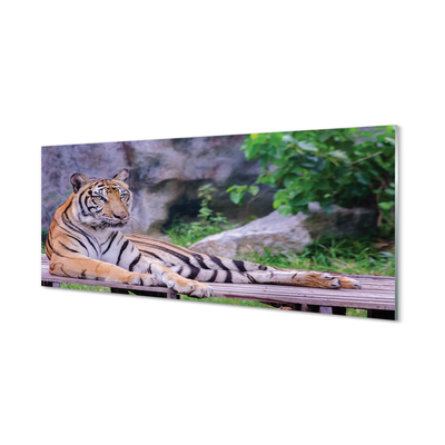 Cuadro de cristal acrílico Tigre en un zoológico