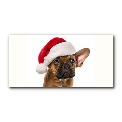 Cuadro en plexiglás Navidad del perro del dogo