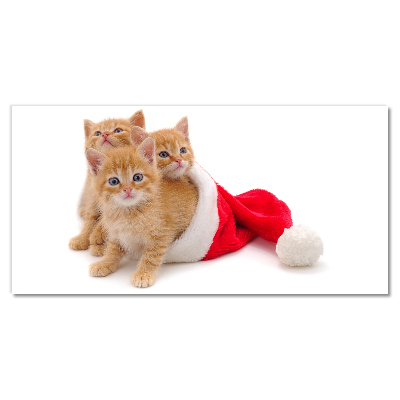 Cuadro en plexiglás Gatos de Navidad de Santa Claus
