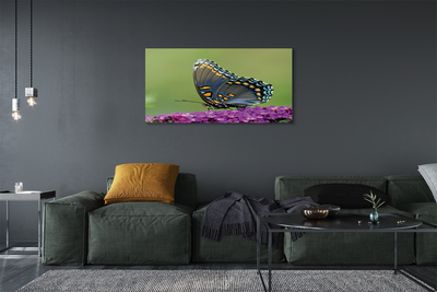 Cuadros sobre lienzo Mariposa de colores en las flores