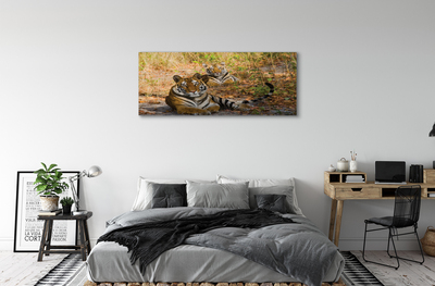 Cuadros sobre lienzo Tigres