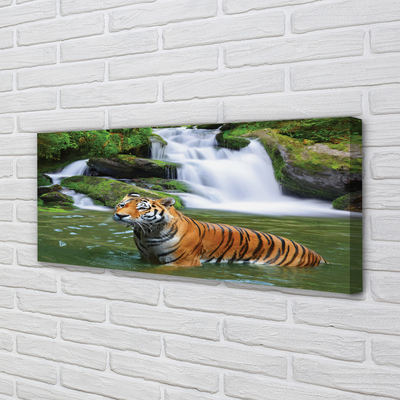Cuadros sobre lienzo Cascada tigre
