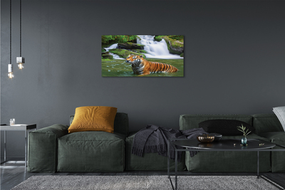 Cuadros sobre lienzo Cascada tigre