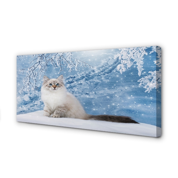 Cuadros sobre lienzo Invierno gato