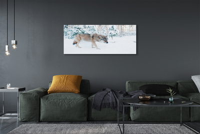 Cuadros sobre lienzo Bosque de invierno lobo