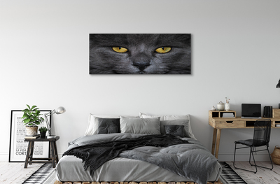 Cuadros sobre lienzo Gato negro
