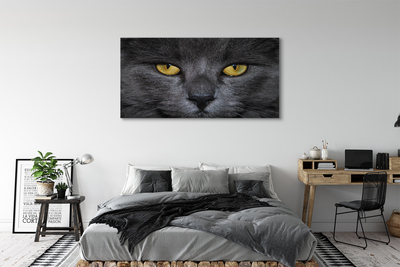 Cuadros sobre lienzo Gato negro