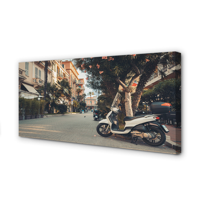 Cuadros sobre lienzo Motocicletas de la ciudad de la palma del verano