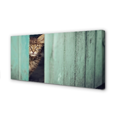 Cuadros sobre lienzo Gato zaglądający