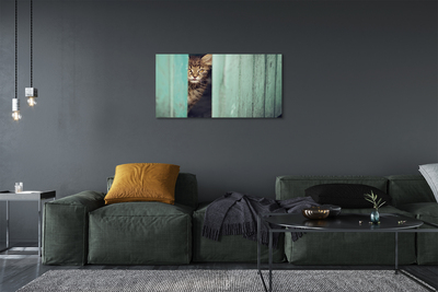 Cuadros sobre lienzo Gato zaglądający