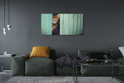 Cuadros sobre lienzo Gato zaglądający