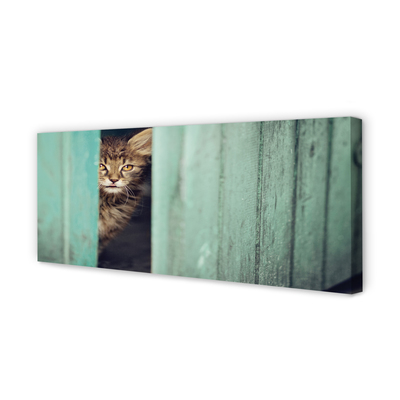 Cuadros sobre lienzo Gato zaglądający