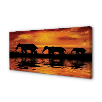 Cuadros sobre lienzo Elefantes west lake
