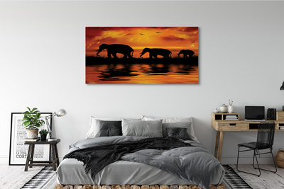 Cuadros sobre lienzo Elefantes west lake