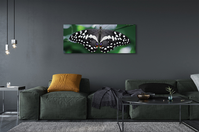 Cuadros sobre lienzo Hojas de colores mariposa