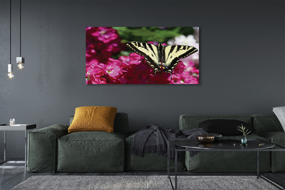 Cuadros sobre lienzo Mariposa flores