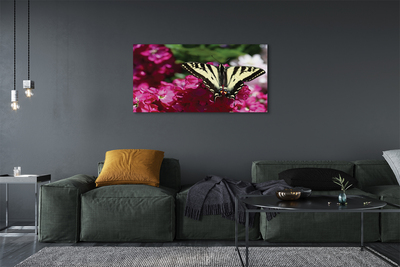 Cuadros sobre lienzo Mariposa flores