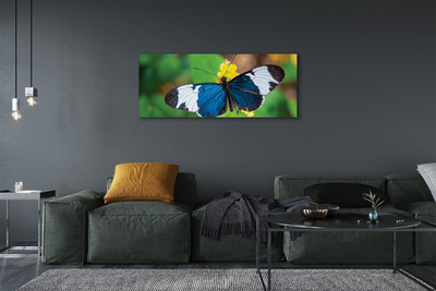 Cuadros sobre lienzo Mariposa de colores en las flores