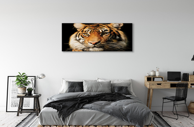 Cuadros sobre lienzo Tigre