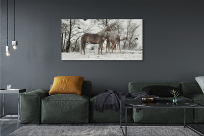Cuadros sobre lienzo Unicornios bosque del invierno