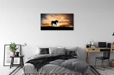 Cuadros sobre lienzo La puesta del sol del unicornio