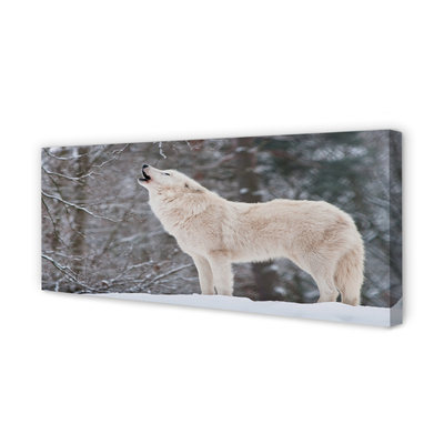 Cuadros sobre lienzo Bosque de invierno lobo