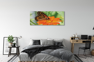 Cuadros sobre lienzo Mariposa colorida flor