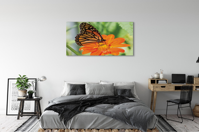 Cuadros sobre lienzo Mariposa colorida flor