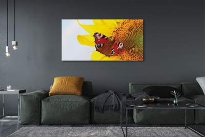 Cuadros sobre lienzo Mariposa girasol