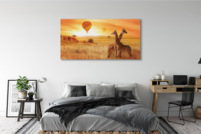 Cuadros sobre lienzo Hincha el jirafa