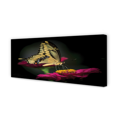 Cuadros sobre lienzo Mariposa en una flor