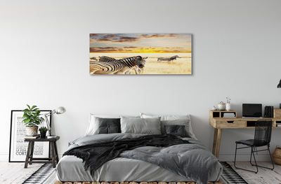 Cuadros sobre lienzo Cebras campo de la puesta del sol