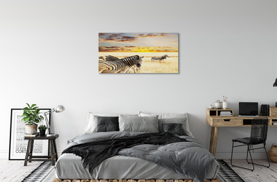 Cuadros sobre lienzo Cebras campo de la puesta del sol