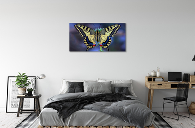 Cuadros sobre lienzo Mariposa en una flor