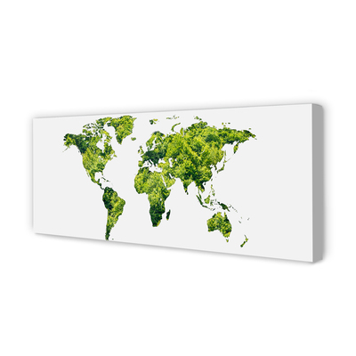 Cuadros sobre lienzo Mapa de la hierba verde